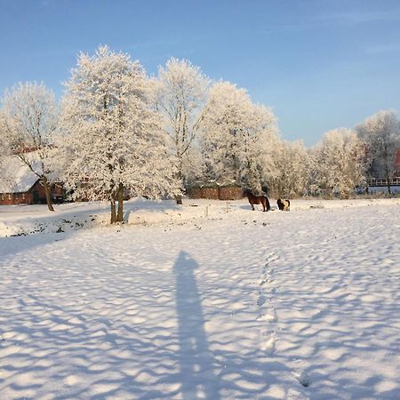 Ferienwohnung Suderfeld 布拉克 外观 照片