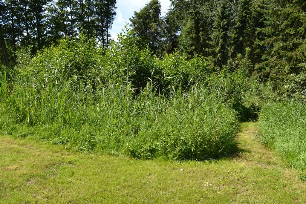 Ferienwohnung Suderfeld 布拉克 外观 照片