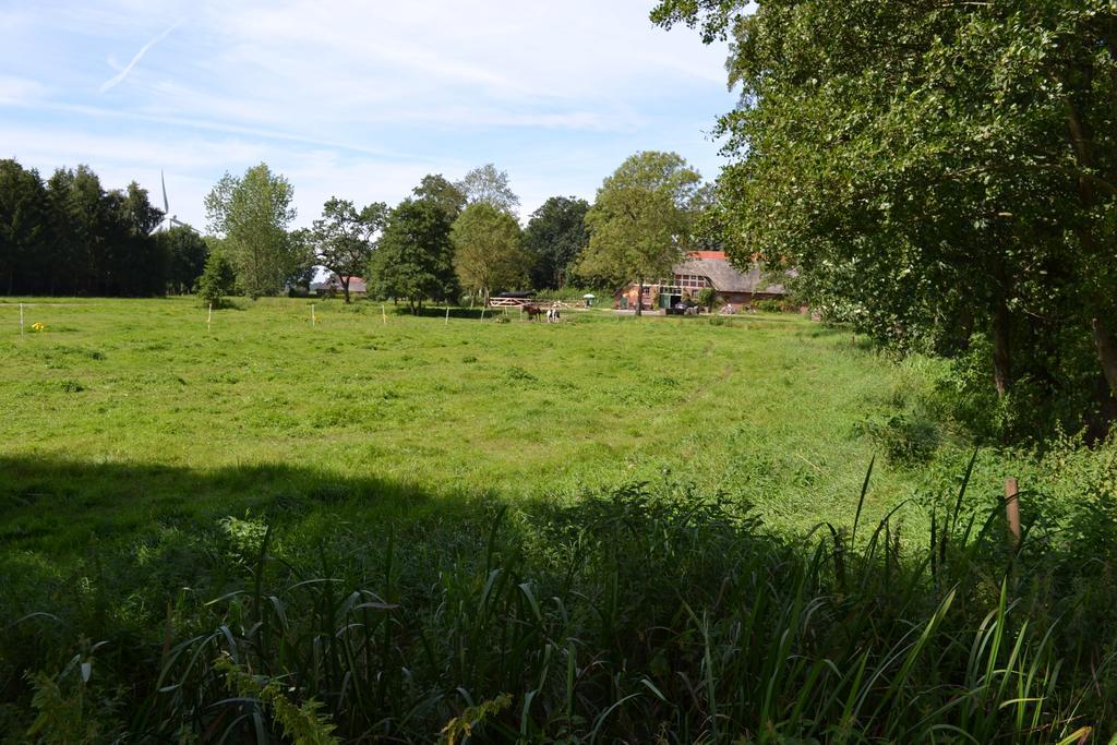 Ferienwohnung Suderfeld 布拉克 外观 照片